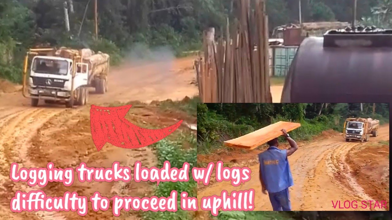 Logging trucks difficulty  to proceed in a muddy uphill road due to heavy rainfall!