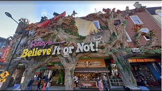 RIPLEY'S BELIEVE IT OR NOT | Gatlinburg, Tennessee | Odditorium & Museum