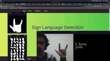 Sign Language Detector Demo Video