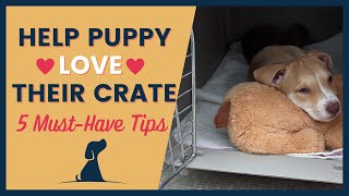 Crate Training Helping Your Puppy Love Their Space 5 Must Have Tips by How To Train A Dream Dog 4 months ago 13 minutes, 43 seconds 5,329 views