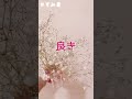 【ハンドメイド講師】カスミソウのご紹介/かすみ草
