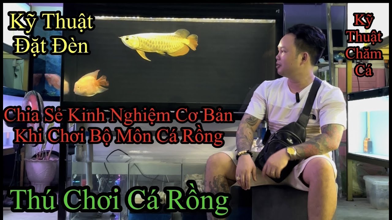 Chia Sẻ Kinh Nghiệm Cơ Bản Khi Chơi Cá Rồng | Kỹ Thuật Đặt Đèn , Kỹ Thuật Chăm Cá