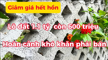 Vườn 1000m2  1.1 tỷ giảm còn 600 triệu vẫn phải bán. Ngay khu du lịch Chứa Chan - Gia Lào - Xuân Lộc