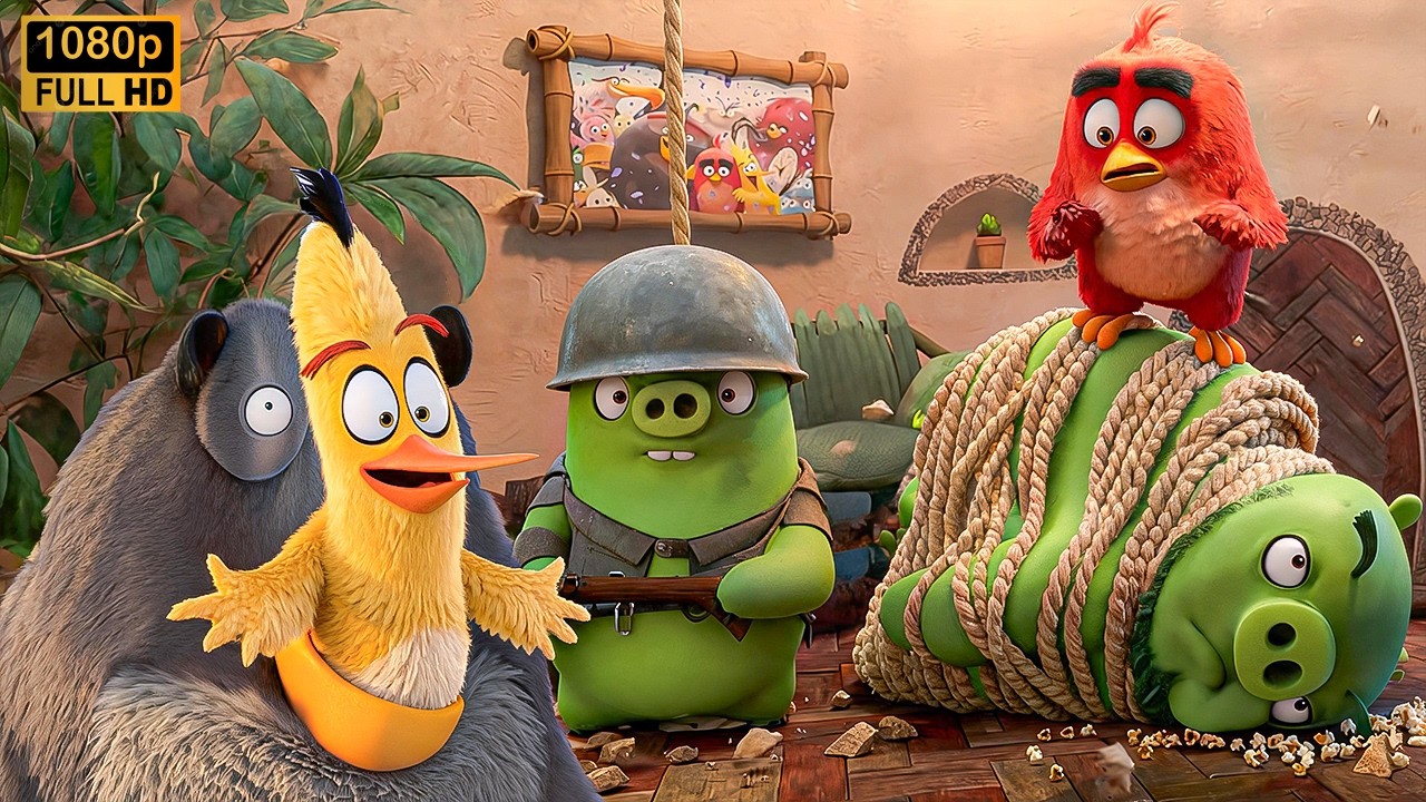 Angry Birds Funniest Moments Compilation | Best Comedy Scenes | Full HD |