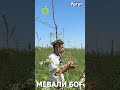 ОЛМА ЕТИШТИРИШ СИРЛАРИ!