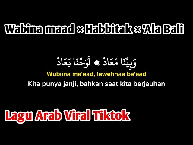 wabina maad x habbitak x ala bali (lirik arab, latin dan Terjemahan) Viral Tiktok class=