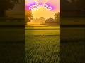 Prati khyane aayu #odia #bhajan #viralshorts #trending #odiastatus #spirituality #shortsfeed