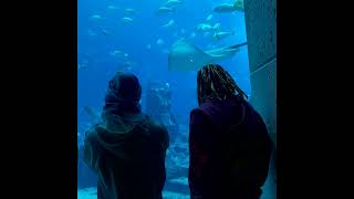 1600J - Extra (feat. BoofPaxkMooky)