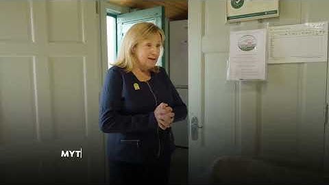 copy CAAF5381 0EDC 420F 80B4 6DF4A6312A6A 1