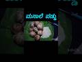 ಮಸಾಲೆ ಪಡ್ಡು