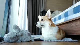 ใช่ซี่ โตเป็นสาวแล้ว มีขึ้นเสียงใส่แม่ แม่เสียใจ.. 😢 screenshot 2