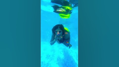 Thumbnail of Sexy Chick - Da I’d Guetta Feat. Akon @srisusmita @davidguetta @Akon #viral #shorts #youtubeshorts