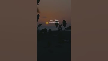 عبدالرحمن مسعد - سورة العنكبوت | قل كفى بالله بين وبينكم شهيدا #قران #تلاوة_خاشعة #عبدالرحمن_مسعد