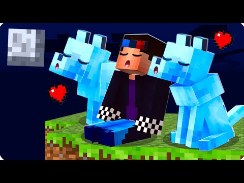 Видео: ❤️МЕНЯ ПРИЮТИЛА СЕМЬЯ АЛМАЗНЫХ СОБАК В МАЙНКРАФТ! ШЕДИ MINECRAFT