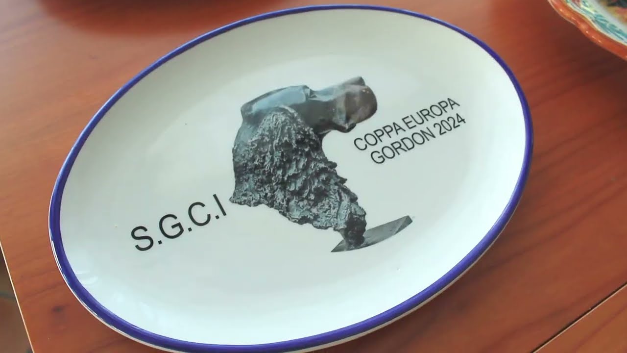 Setter Gordon - Campionato europeo 2024 | Gordon Setter European Championship 2024