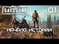 DAYS GONE (СТРИМ)! Начало истории ►Серия 01