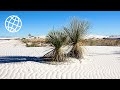 White sands national park new mexico usa  amazing places 4k