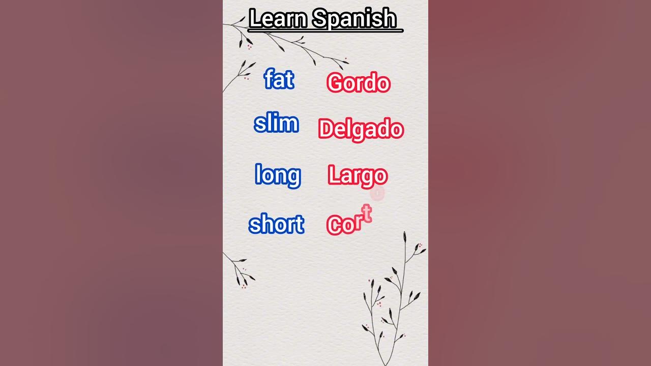 Spanish lesson learn spanish easy spanish youtube