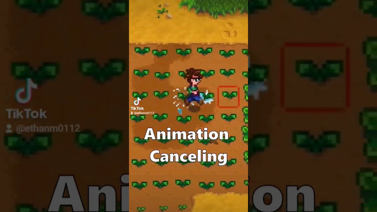 How Speedrunners Use Tools So Quickly ⛏️