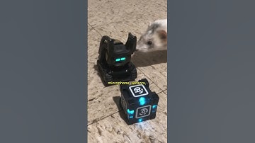 Interesting facts about Vector robots #vector #ai #shorts #usa #video #viral #fyp #foryou #trending