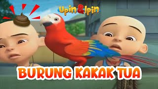 Burung Kakak Tua Versi Upin Ipin Si Merah Baru Bahasa Indonesia Dengan Lirik || Lagu Anak Indonesia