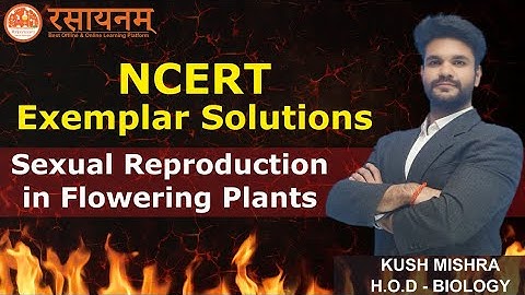 Class 12th Biology Full NCERT Exemplar revision #neet #jeemain2024 #boardexams #cbseboard #cuet2024