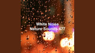 Best Rain Sound for Meditation 5
