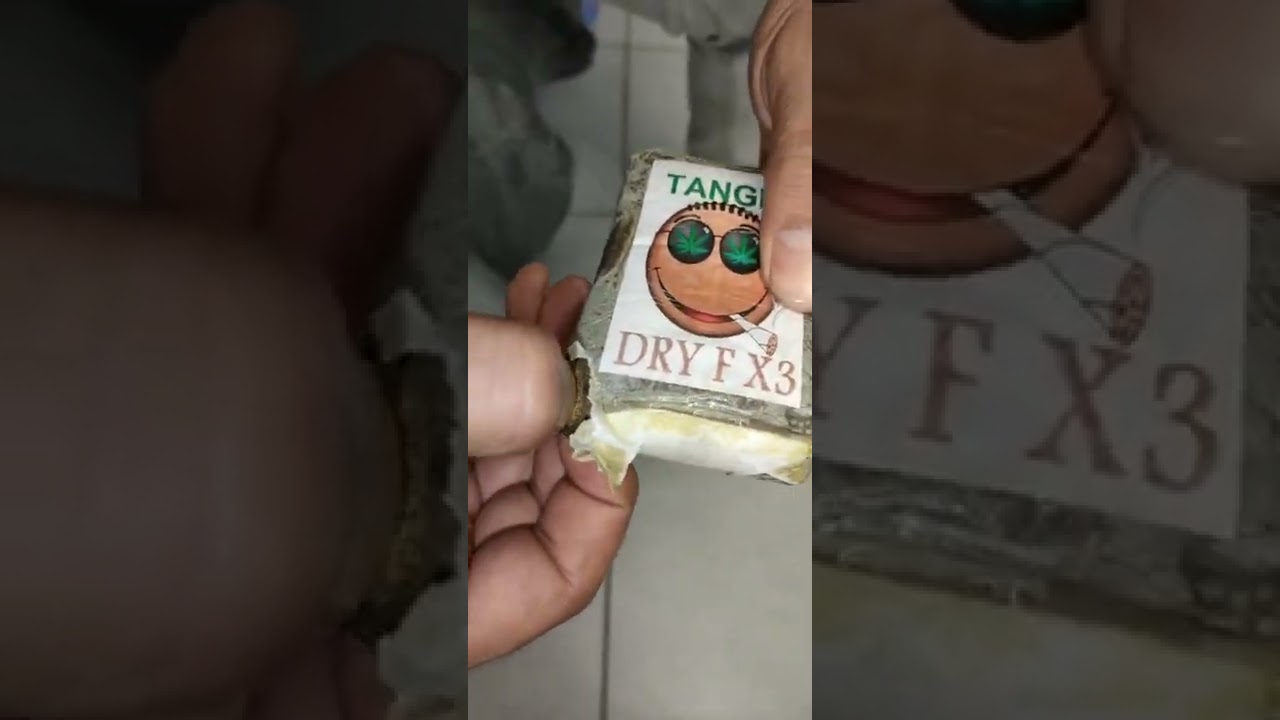 how to make hachich with Frenchy canolli