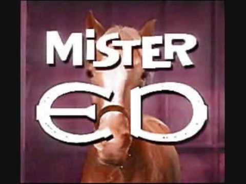 Mr. Ed theme song w/ lyrics