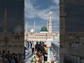 best bayan#Molana Tariq jamil#best Islamic shorts#best Islamic status#love Madina#love makkah#naats