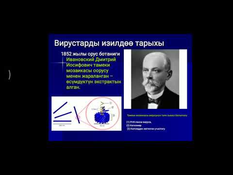 Бейне: Дмитрий Ивановский вирустарды қашан ашты?