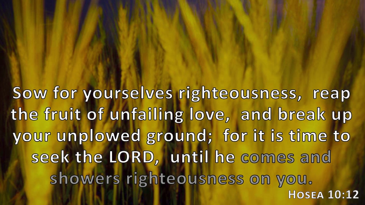 Hosea 1012, Holy Bible, NIV YouTube