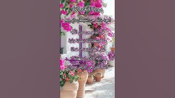 سورة الانعام الآية ٧١ ¹