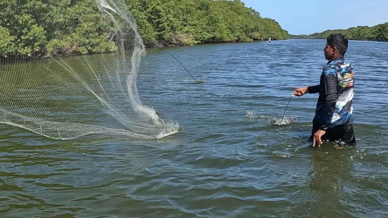 TAINHAS NA TRADICIONAL PESCARIA COM TARRAFA PE NO CHÃO RIO COCÓ !