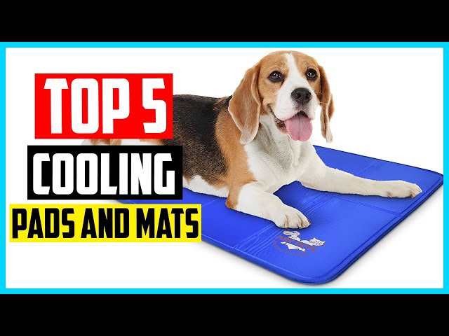 The 3 Best Dog Cooling Mats and Pads of 2023