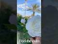 Rural Village Life | A Garden Full of Flowers and Vegetables #satisfying