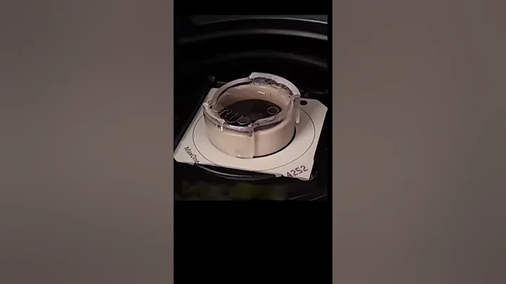 Here's how these brain cells in a dish learned to play pong!