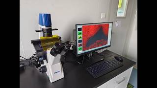 Mshot MF52-N inverted fluorescence microscope ，Expert in cell observation