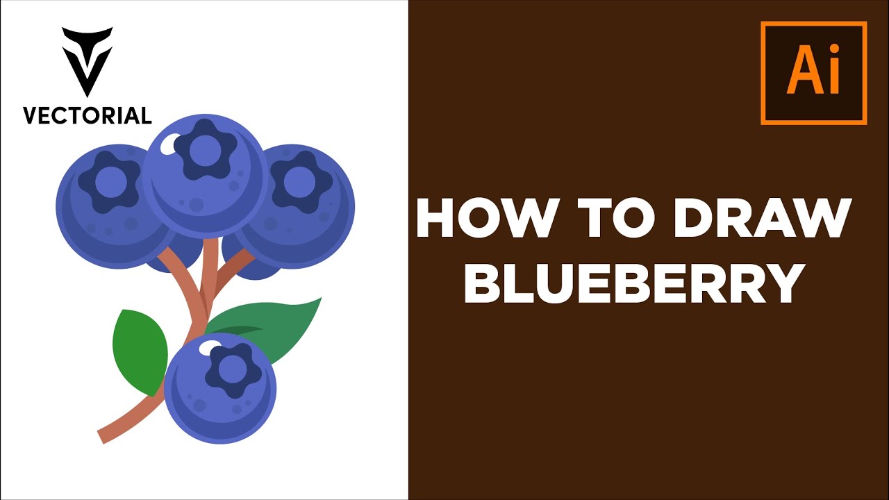 How to Draw a Blueberry in Adobe Illustrator YouTube
