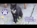 Brushing Hydrox, Mail Time, Sudoku For Cats - S3 E138