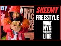 Sheemy freestyle  what nyc sounds like