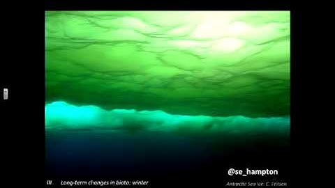 Deciphering 60 years of environmental data to understand changes in Lake Baikal, Siberia