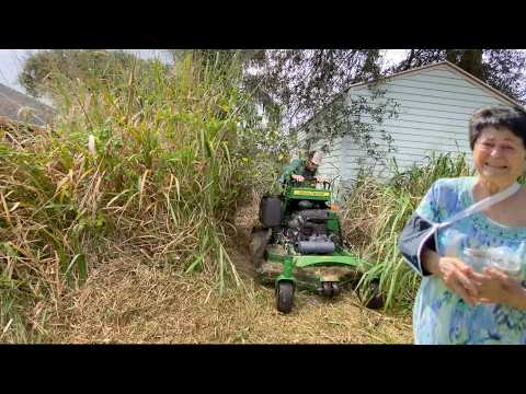 She Watched This Yard Get Worse for YEARS...
