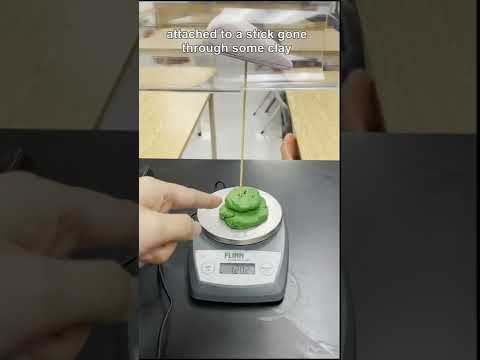 Bernoulli's Principle generates