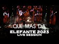 Que mas Da ELEFANTE 2023 (Live Session)
