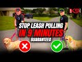 How to stop leash pulling now pro tips for success