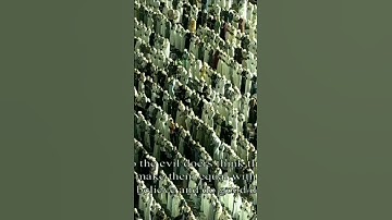 من سورة#الجاثية|الشيخ#ماهر_المعيقلي|#اكسبلور#الحرم_المكي#الكعبة#المسجد_الحرام#رمضان#قرآن#صلاة_التهجد