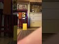 paper pickup challenge