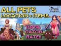 PET CATCHING GUIDE: 100% SUCCESS RATE!! | Ragnarok Mobile Eternal Love