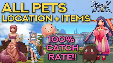 Where can I get a pet in eternal love Ragnarok?